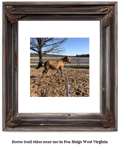 horse trail rides near me in Pea Ridge, West Virginia